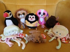 Ty Beanie Boos Bundle KING Lion PRECIOUS Dog SPUNKY Babies ROAM GOOCHY Ballz Bee