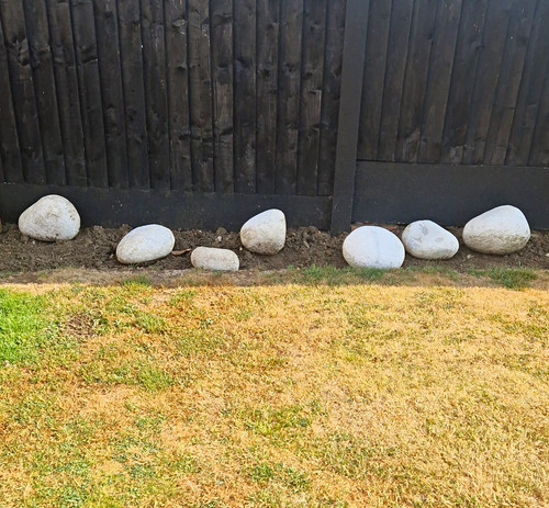 Pack white landscape rock - pack,