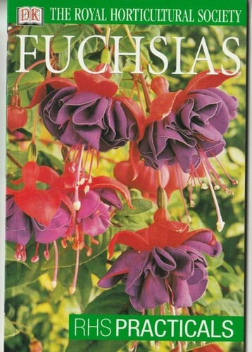 Fuchsias