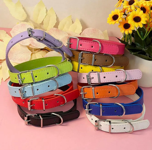 Leather dog collar - leather, puppy