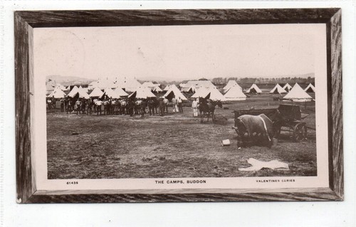 The camps buddon near dundee - near,