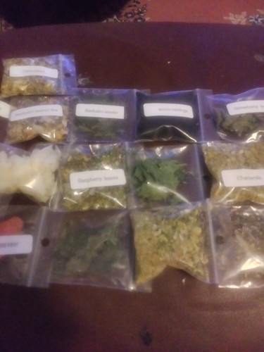 Land hermit crab food treat - land,