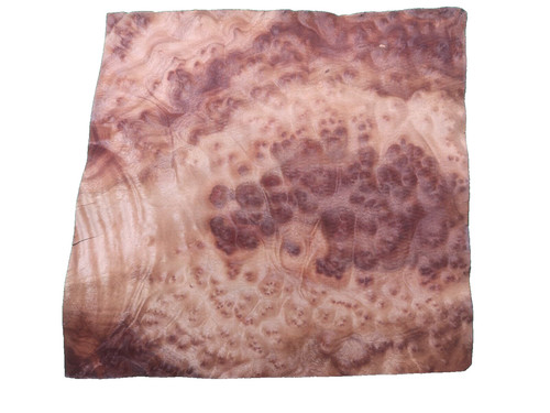 Camphor burr burl - veneer,