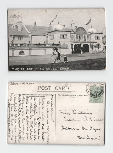 Postcard the palace - -,