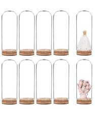 20 Pack 19ml Glass Dome Cloche