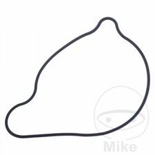 WATER PUMP GASKET 734.20.84