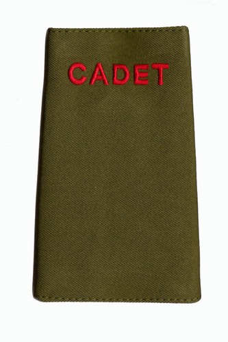 Acf ccf rank slide - ccf,