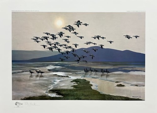 Peter scott flight - scott,