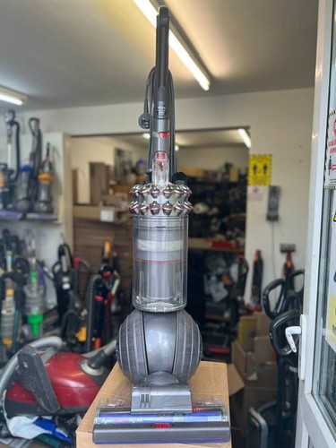 Dyson dc75 cinetic big ball - dyson,