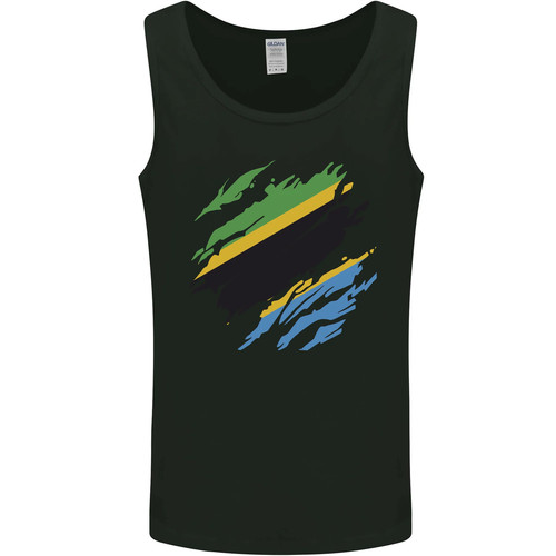 Torn tanzania flag - torn,