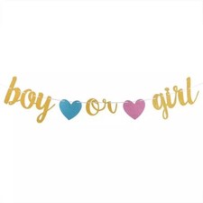 Baby Shower Banner Boy or Girl