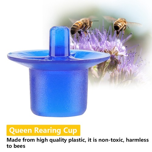 50pcs beekeeping queen - .50pcs,