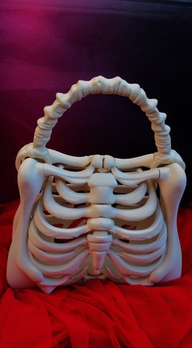 Printed skeleton ribcage - 3d,
