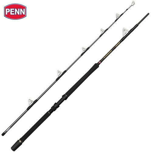 Penn big game fishing rod - penn,