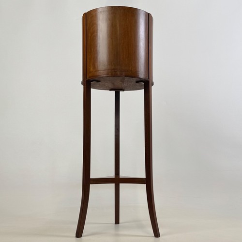 Antique 20th century edwardian - century,
