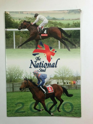 The national stud 2000 - the,