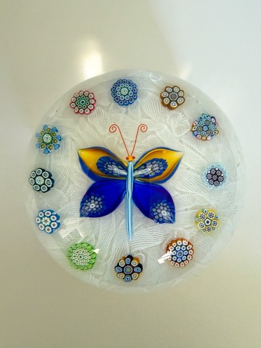 Peter mcdougall butterfly - mcdougall, on