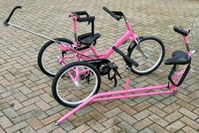 Tomcat Tiger Special Needs