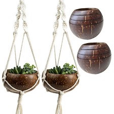 Set of 4 Coconut Shell Handcraft Round 2 Table Top Planter + 2 Hanging Planters