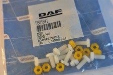 FBU4841 : 10 Pack Leyland DAF Number Plate Nuts And Bolts - Plastic 