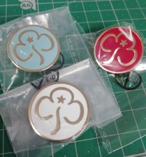 Rainbows Brownies Young Leader