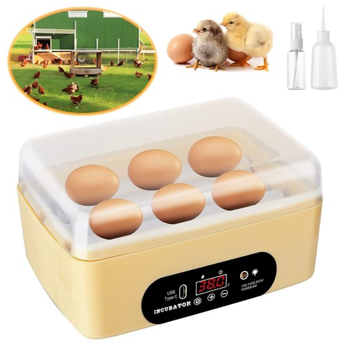 Incubator for hatching chicken - incubator,
