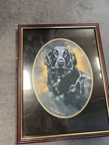 Pollyanna pickering framed art - pollyanna,