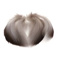 Mallard Duck Bronze Shoulder 10 Pack Of  Feathers  Gordon Griffiths