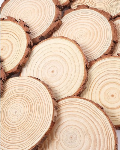 Wood slices unfinished natural - wood,