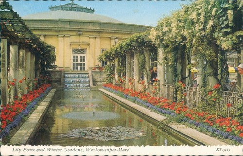 Weston super mare lily - lily, pond