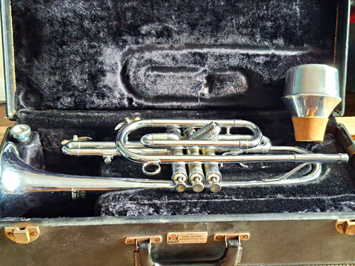 Deg dynasty valve soprano - 3-valve, g