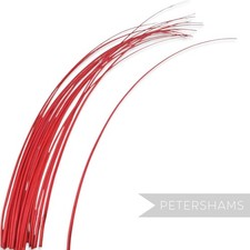 Stripped Ostrich Quill Spine