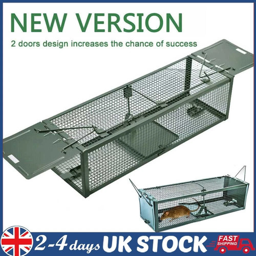 Rat trap squirrel - rat, door