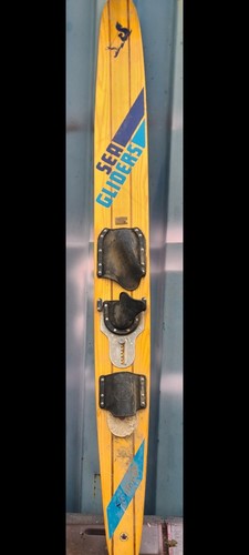 Vintage sea glider - vintage,