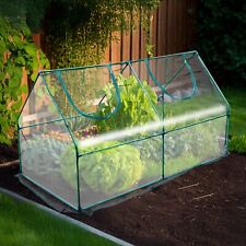 MINI GREENHOUSE WITH CLEAR