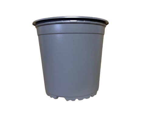 Litre plastic plant - 1, (13cm)