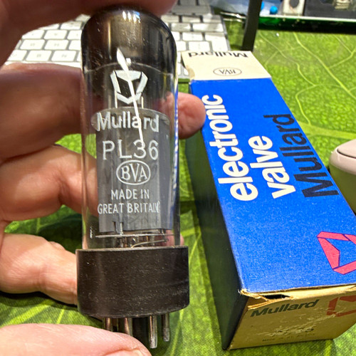 Mullard pl36 vacuum - pl36,