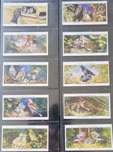 John player sons birds and - sons,