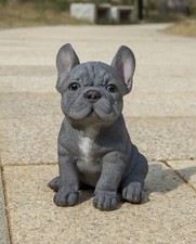 Blue French Bulldog Pet Pals