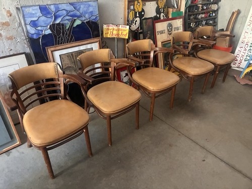 Thonet bentwood style - 6x,