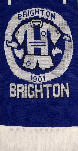Brighton and hove albion - brighton,