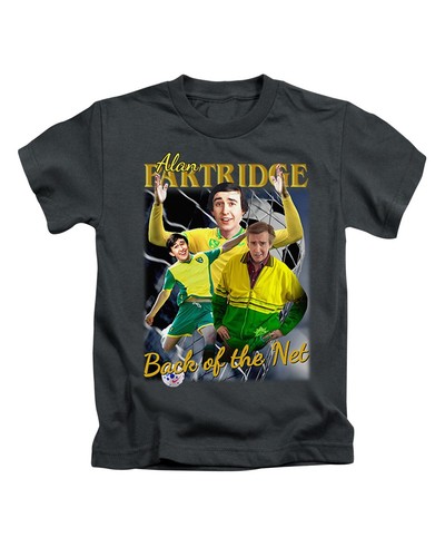 Alan partridge back the net - back,