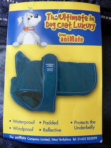 Dog coat with belly - dog,