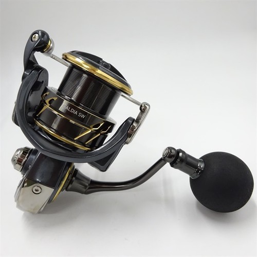 Daiwa caldia 4000 - sw, 4000-cxh