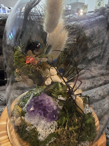 Lynns creations mounted - creations,