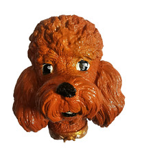 POODLE APRICOT Wall Plaque