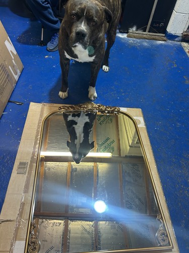 Bronze tone framed - bronze,