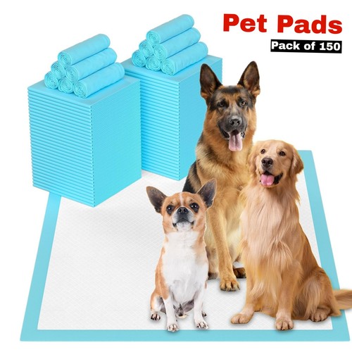 150 large puppy - large, pads