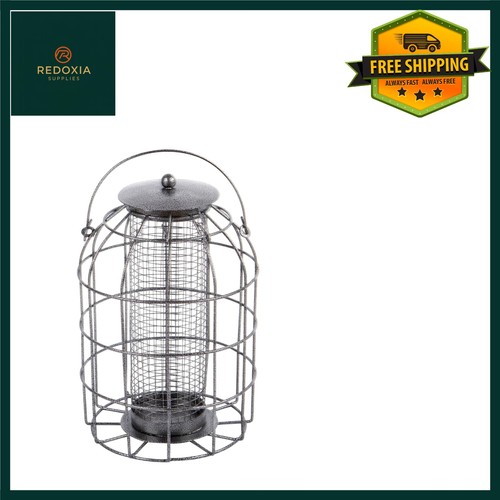 Bird peanut feeder squirrel - bird,