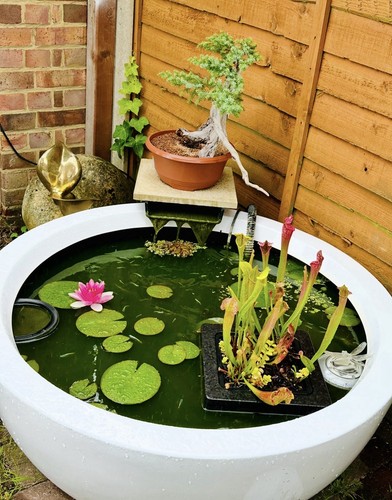 Large modern fibreglass garden - modern,